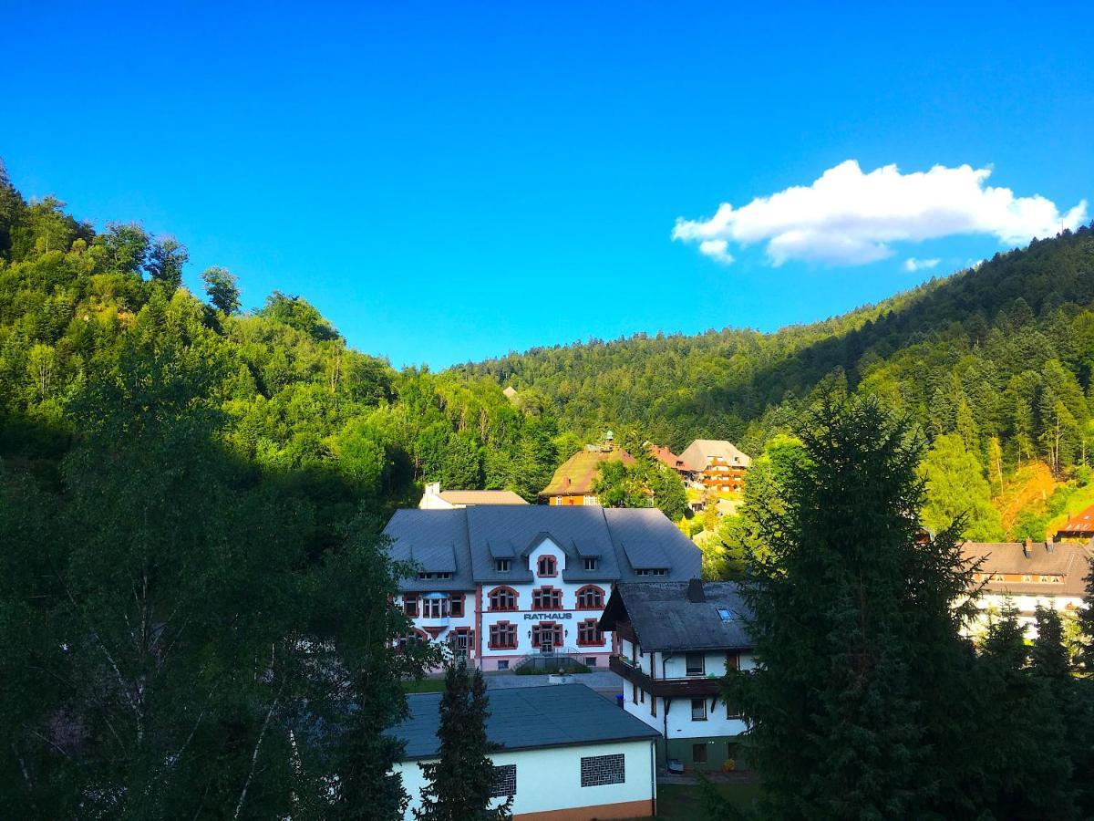 Ferienwohnung Schwarzwald Тодтмос Екстер'єр фото