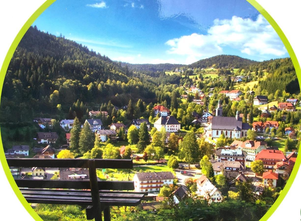 Ferienwohnung Schwarzwald Тодтмос Екстер'єр фото